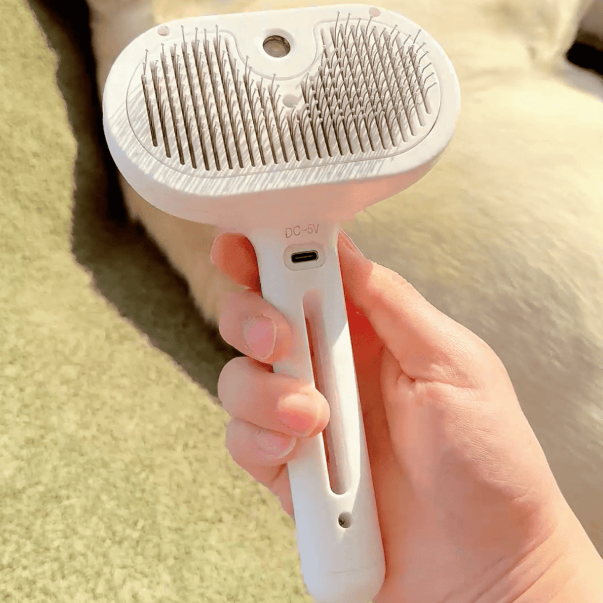 BrushPaw Steam Brush for Dogs