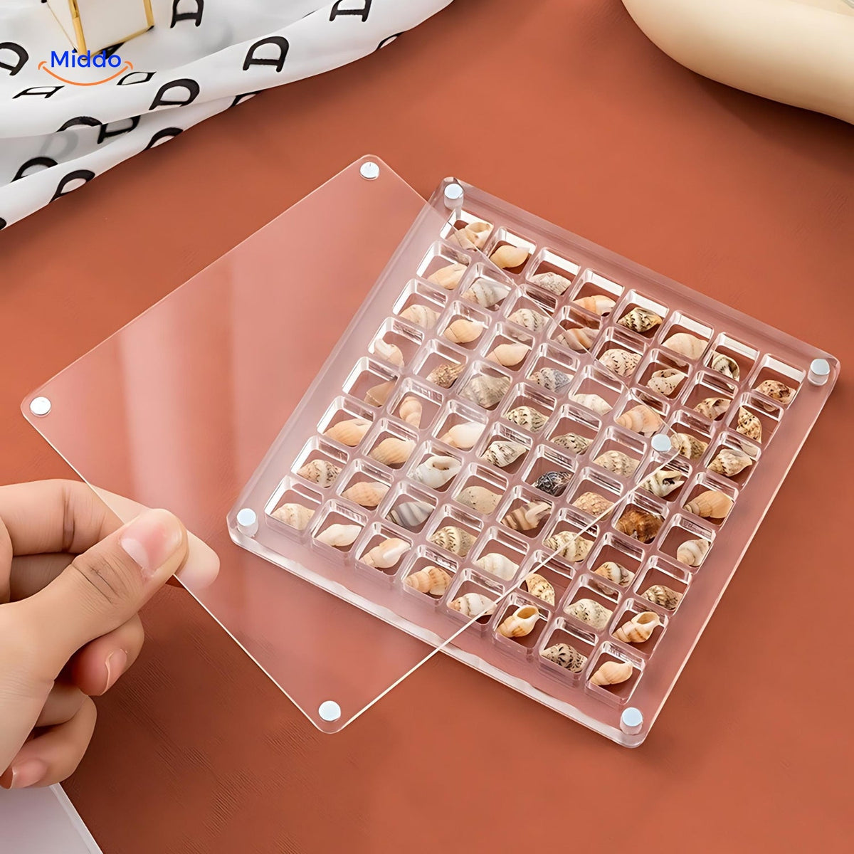 DisplayCase | The Ultimate Display Solution for Shells and More