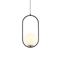Globe Pendant Light - Brass or Black Metal Frame - Modern Industrial Hanging Lamp
